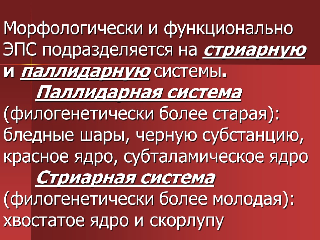 Морфологически и функционально ЭПС подразделяется на стриарную и паллидарную системы. Паллидарная система (филогенетически более